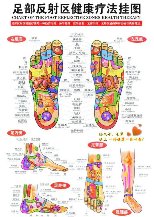 (分层不细)素材下载(分层不细)模板下载中医足脚足内侧足外侧