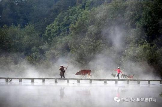 2018年浙江c团"丽水云和梯田,瓯江帆影,仙都老农牵牛过桥,温州茗岙