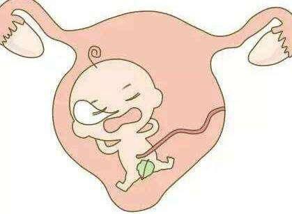 怀孕多长时间有胎动,什么感觉