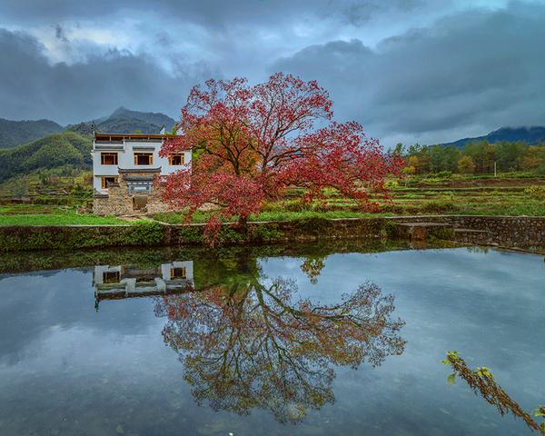 形容秋雨绵绵的句子