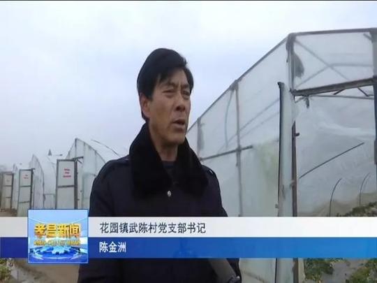 徐学明:回乡种草莓实现创业梦