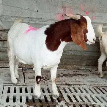 一年赚1000万的方法是 一年赚23万的方法是