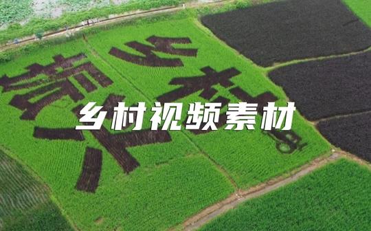 乡村振兴视频素材