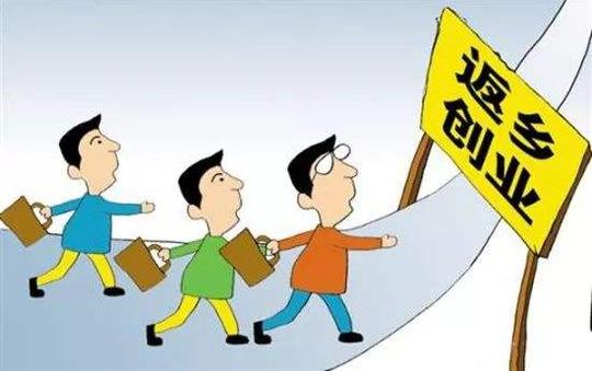 (新时代新作为新篇章)几位“新农民”的返乡创业故事
