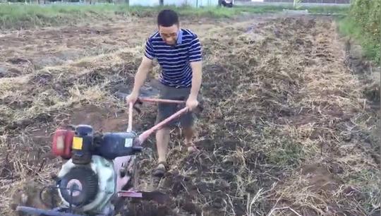 浙大教授捡垃圾养虫年入百万网友:多读书果然赚钱