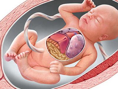 什么时候拍孕妇照对胎儿伤害最小