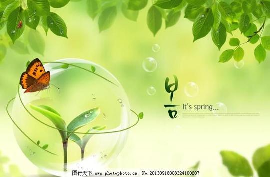 绿色生态背景素材风景广告背景蝴蝶绿叶嫩芽水晶球树苗
