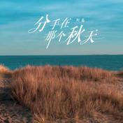 分手在那个秋天(阿磊)