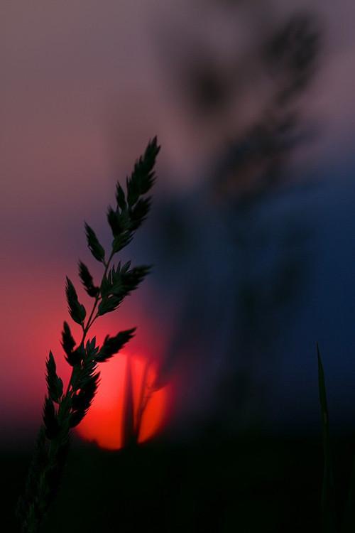 唯美丨夕阳日落图片素材
