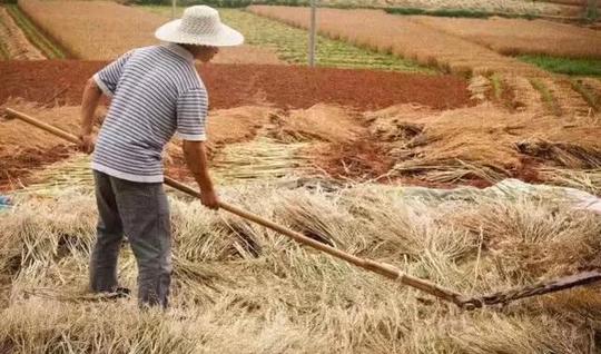 农民是在家承包一百庙地赚钱,还是外出打更赚
