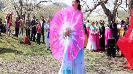 铁岭市朝鲜族艺术家送戏下乡到开原土口子梨花古，