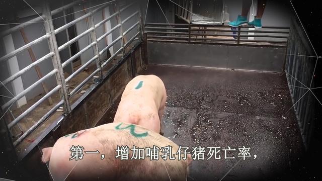 奶水少怎样催乳才有效