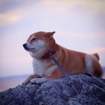 微信怎样回看自己的直播 怎么回看自己的微信直播