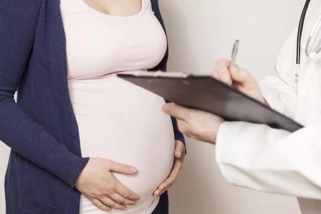 孕期全程指导书