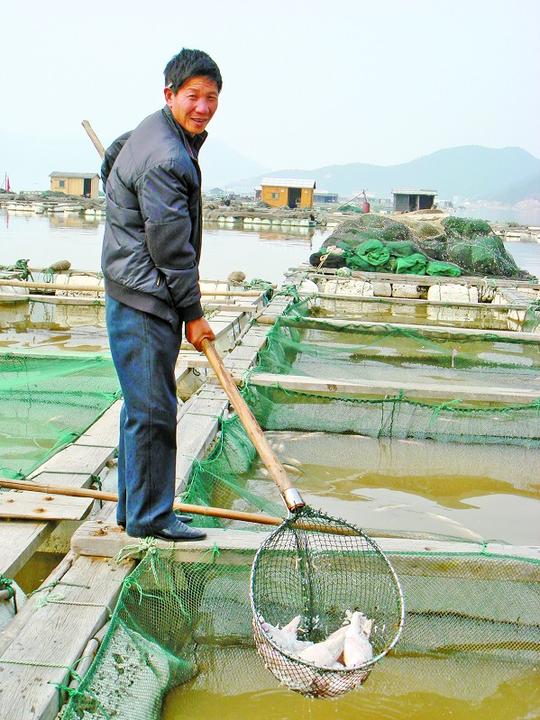 水产养殖创业计划书水产养殖项目商业计划书
