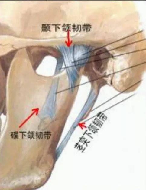 下巴经常性脱臼是怎么回事