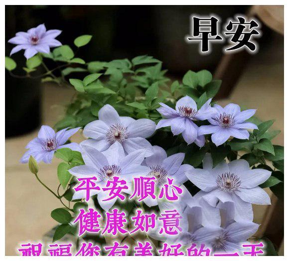 关于夏天的美好的句子