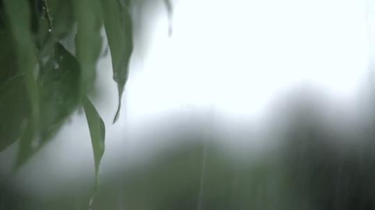 下雨视频雷电视频雨后天晴视频素材含音效
