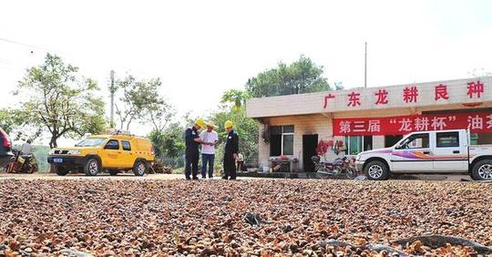 城美茂名:能人创业+央企协助为三农发展加油