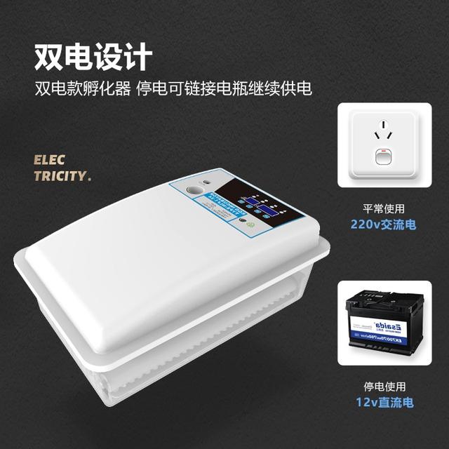 小鸡天使装扮怎么获得
