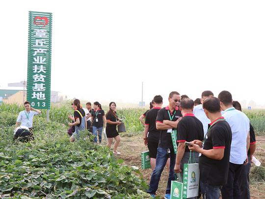 薯立方集团加盟商交流会——创业链,架起我们的地瓜梦和财富梦