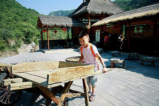 农家生活体验_图片大全—全景创意图库（quanjing.com）中国领先的正版图片视频素材网站