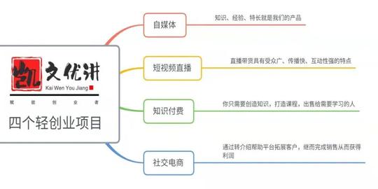 ​轻创业有哪些项目?这四个轻创业项目值得普通人布局自媒体凯文优讲个人ip第1张