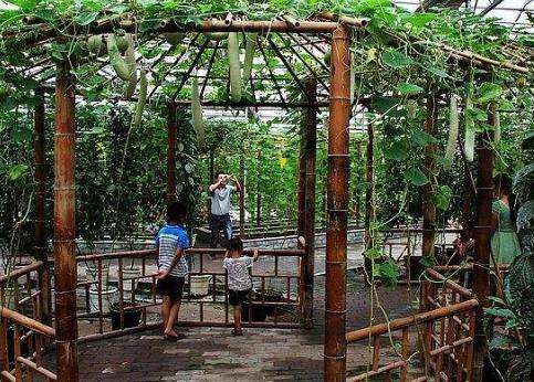 下岗女工人卖房创业如今农家乐年销售额达千万元