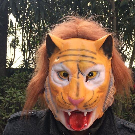 万圣节老虎面具，十二生肖动物头套，cosplay派对搞笑动物面具示例图1