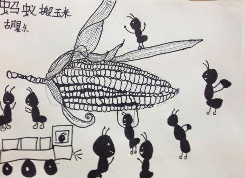 蚂蚁搬玉米——三年级(周六华山)