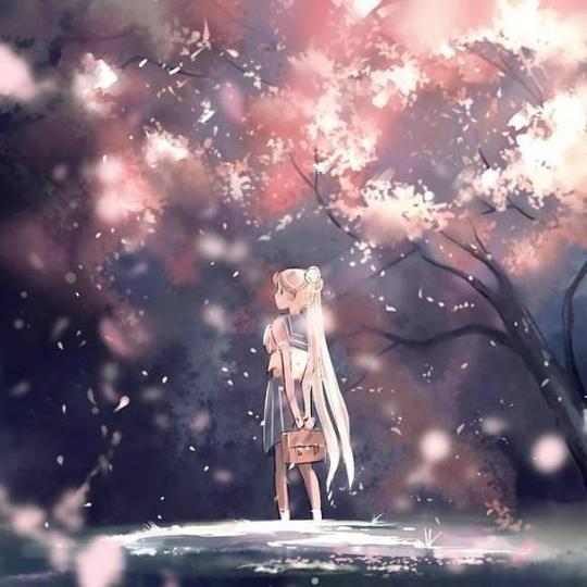 【动漫/治愈】清明樱花祭