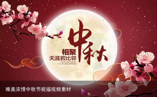 唯美浓情中秋节祝福视频素材