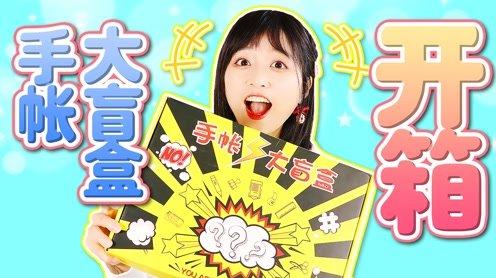 【文具开箱】手帐大盲盒开箱!竟然有这么大的手帐盲盒?!猜猜里面到底有多少手帐素材呢?