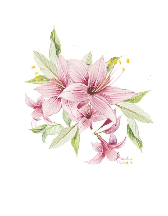 位图psd花朵百合花家纺免费素材