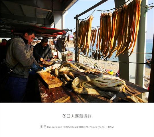 旅游正文冬日的大连旅顺海滩上,海鲜市场因海货鲜活而生意红火.