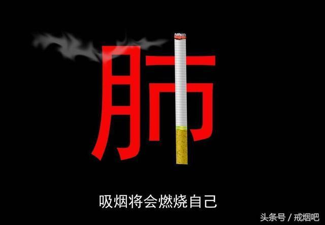 戒烟了为什么会长胖