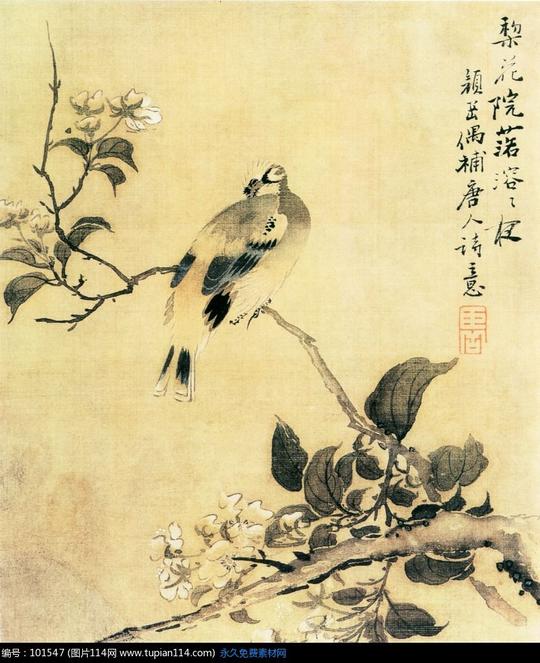 中国名画之梨花枝上的画眉鸟,书画文字图片,琴