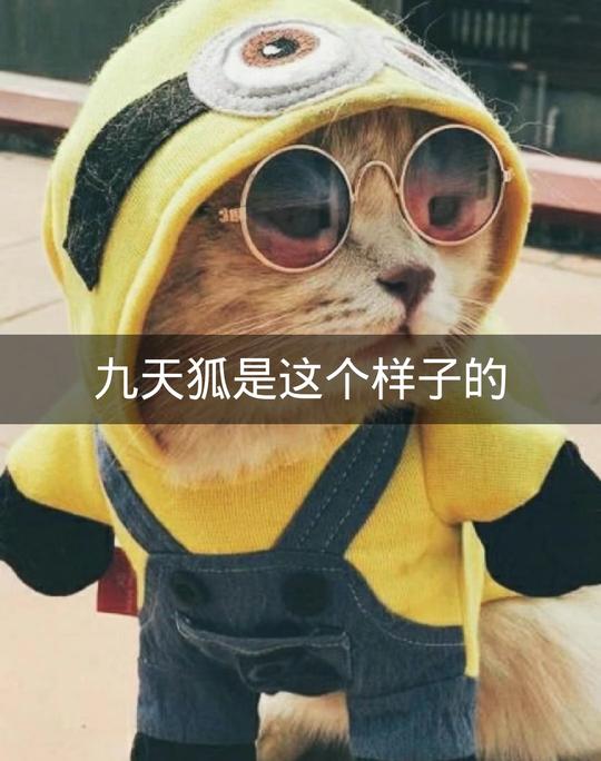 九天狐的顾小念