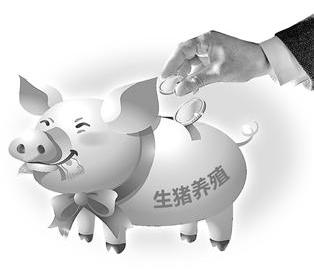 多家山东地产商转行当猪倌