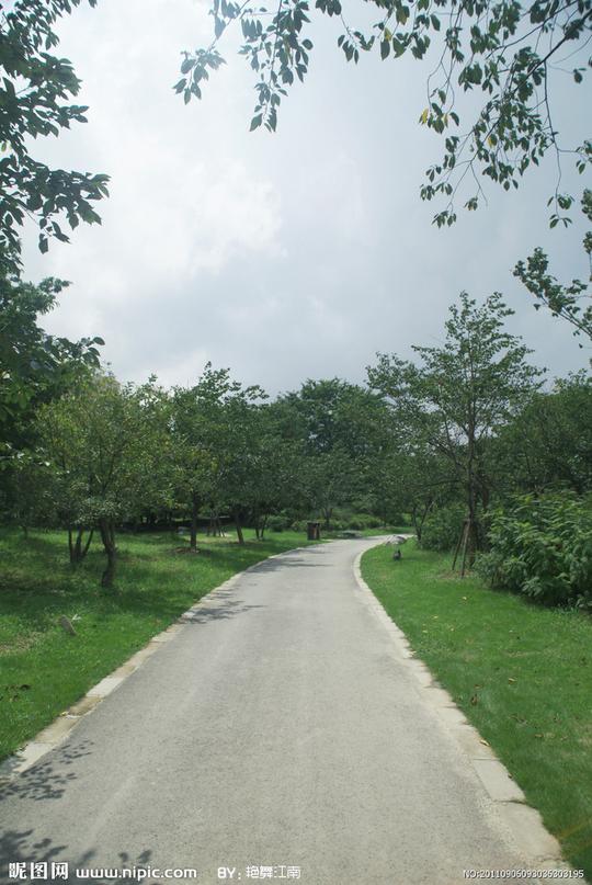 林间小道图片