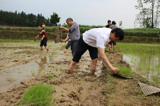 都说种地不挣钱,为啥农村老人还在坚持,老农说出心里话