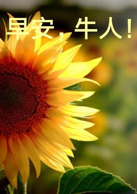 六月励志早安正能量句子