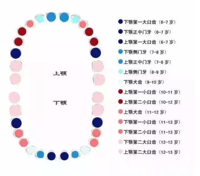 宝宝什么时候长第一颗牙