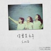 你曾是少年(S.H.E)