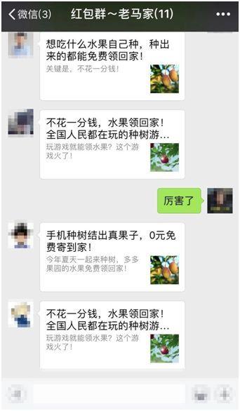 宝清人注意了,拼多多辟谣多多果园安全问题:放心种,没