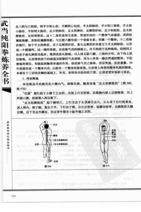 黄帝内经十二经脉揭秘与应用纯阳十三式经脉图解三丰太极拳三十六式道经每日清修