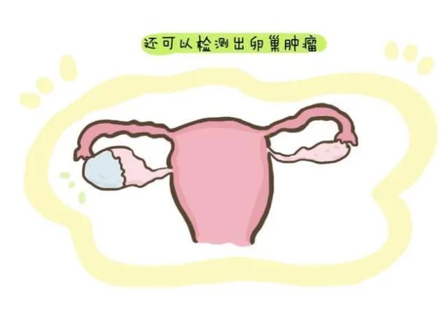 验孕棒呈双红线