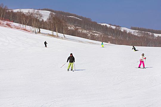 滑雪场滑雪_图片大全—全景创意图库（quanjing.com）中国领先的正版图片视频素材网站