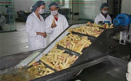 农村快速赚钱项目,10个月入2万的小生意