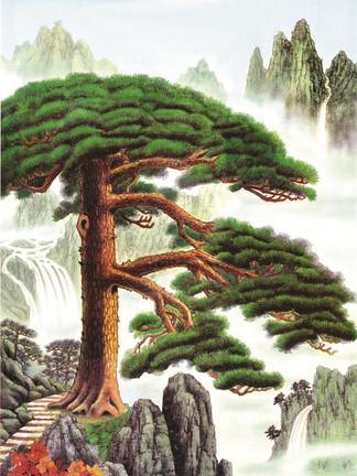 【迎客松】图片免费下载_迎客松素材_迎客松